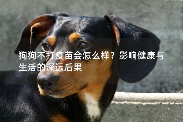 狗狗不打疫苗会怎么样？影响健康与生活的深远后果