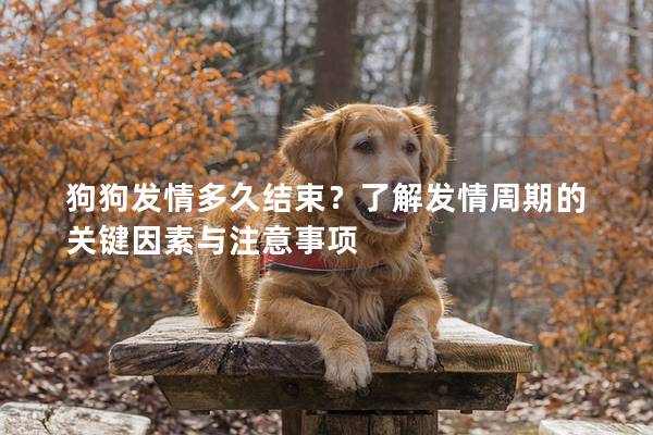狗狗发情多久结束？了解发情周期的关键因素与注意事项