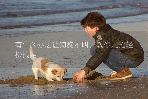 有什么办法让狗狗不叫，教你几招轻松搞定