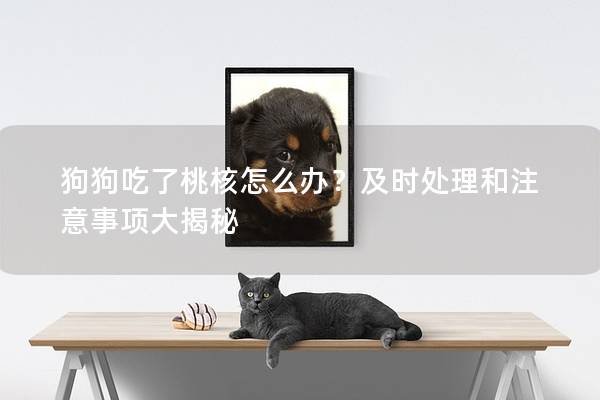狗狗吃了桃核怎么办？及时处理和注意事项大揭秘