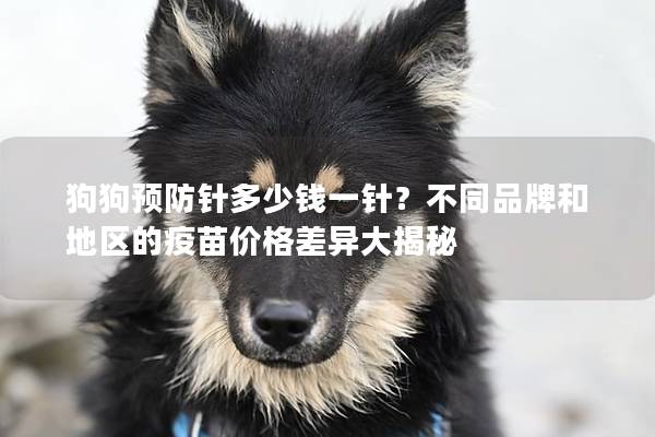 狗狗预防针多少钱一针？不同品牌和地区的疫苗价格差异大揭秘