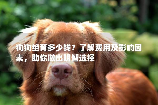 狗狗绝育多少钱？了解费用及影响因素，助你做出明智选择